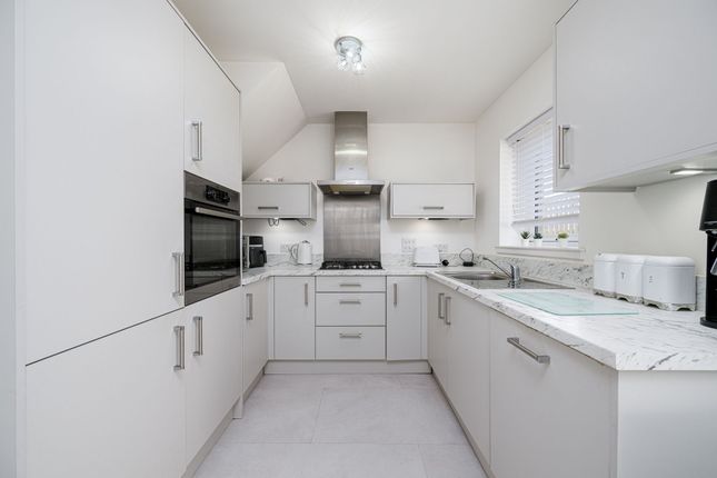 14 Dunbar Terrace, Dundee photo 2