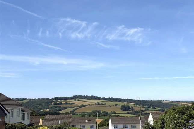 17, Hoopers Way, Devon photo 3