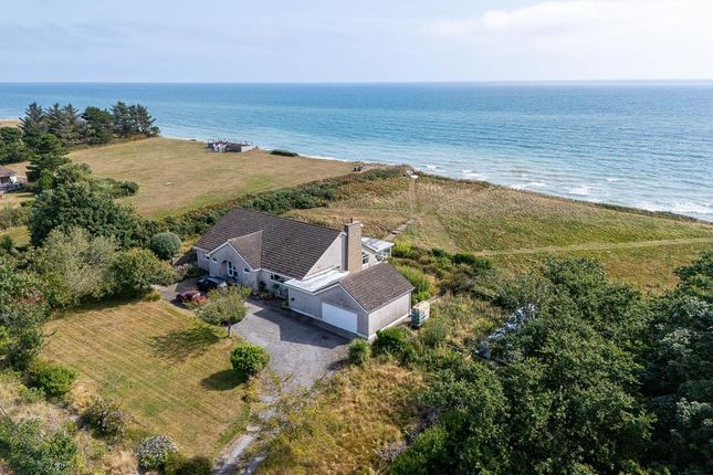 Driftwood, Dogmills (4).Jpg