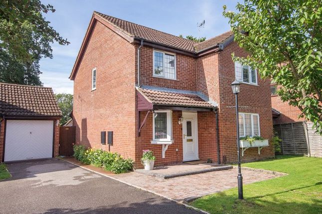 Thumbnail Detached house for sale in Mill Way, Totton, Southampton