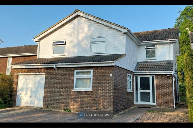 Thumbnail Detached house to rent in Sarum, Bracknell