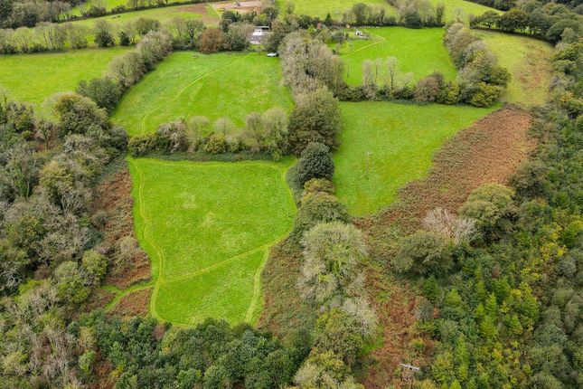 Rhyd-Hir Farm, Clynderwen photo 3