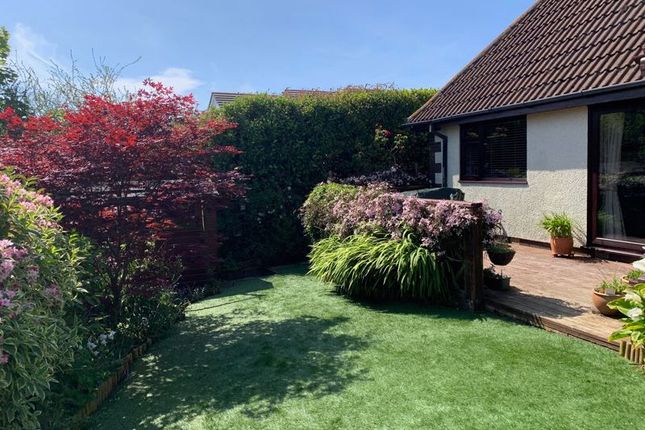 Detached bungalow for sale in Socotra Drive, Trewoon, St. Austell