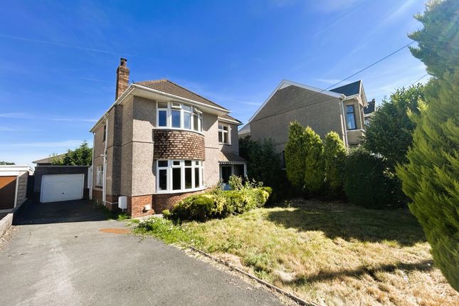 118, Borough Road, Swansea photo 2