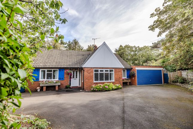 5Therise-Darrashall-Ne209Lj-60