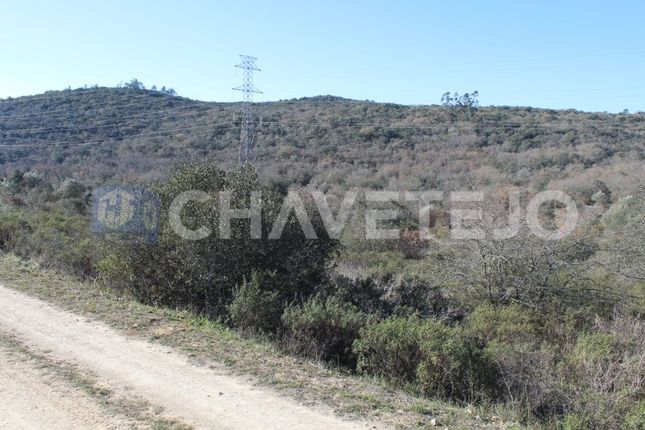 Land for sale in Chãos, Ferreira Do Zêzere, Santarém