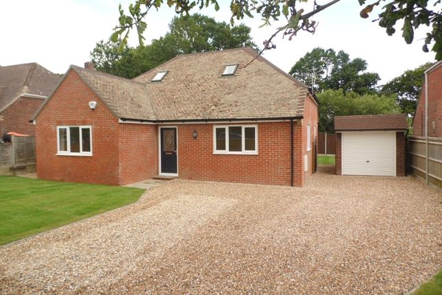 Thumbnail Detached bungalow to rent in Anmore Road, Denmead, Waterlooville
