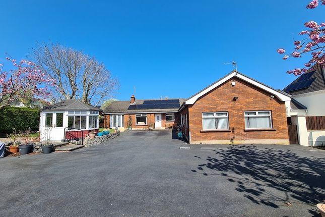 Bungalow for sale in Shandon Drive, Bangor
