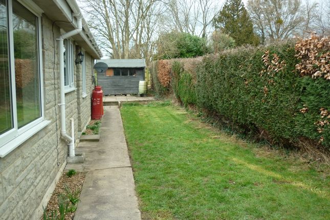 Semi-detached bungalow to rent in Martin Street, Glastonbury