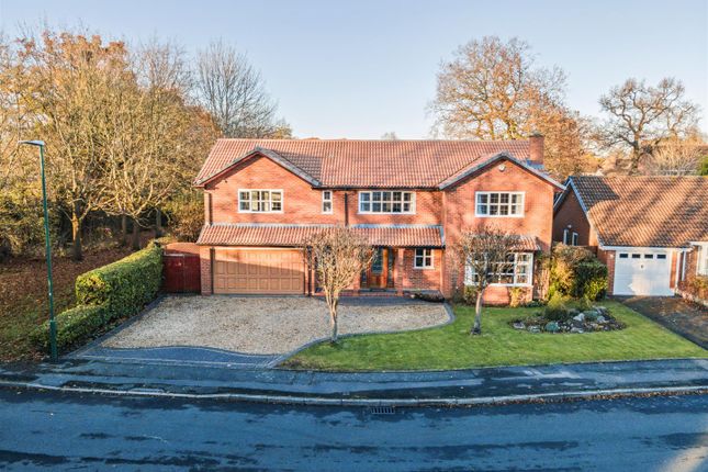 Thumbnail Detached house for sale in Willowbank Road, Knowle, Solihull