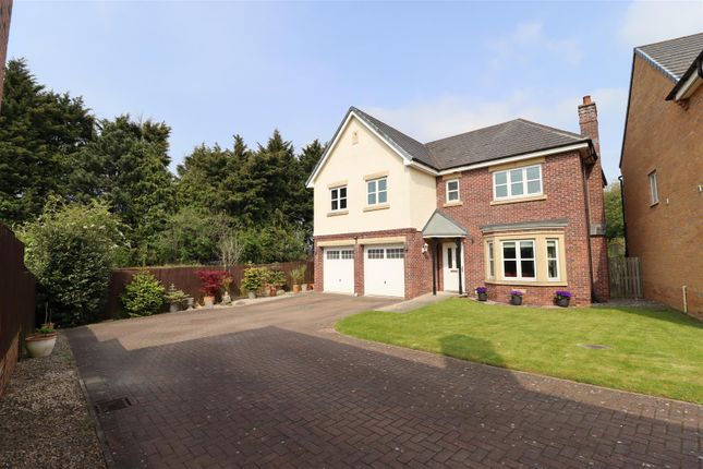 Thumbnail Detached house for sale in Fairview Gardens, Norton, Stockton-On-Tees