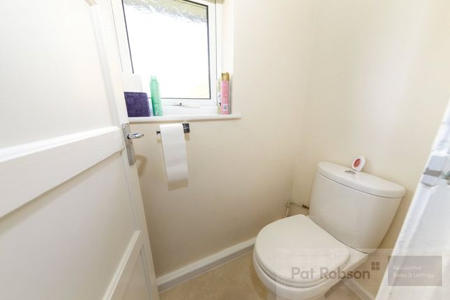 Picture 12