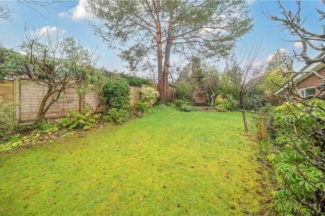16, Richmond Lane, Hampshire photo 2