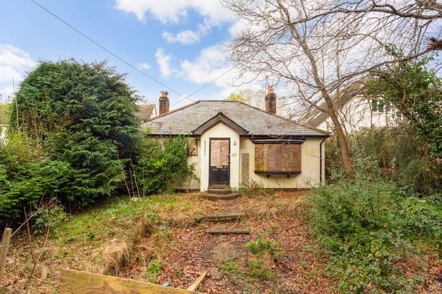 Thumbnail Detached bungalow for sale in Longmoor Road, Liphook