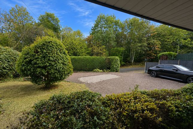 Chestnut View, Chestnut View, Frith Common, Tenbury Wells photo 3