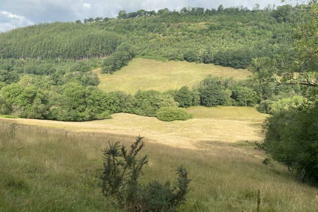 Thumbnail Land for sale in Halfway, Llandovery, Carmarthenshire.