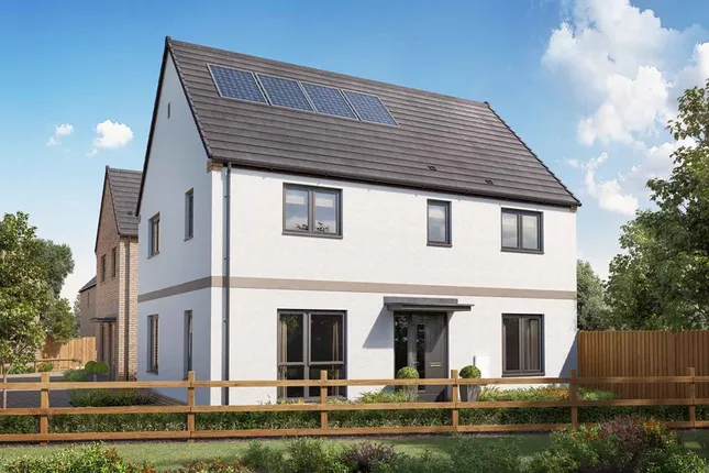 Taylor Wimpey - The Arboretum