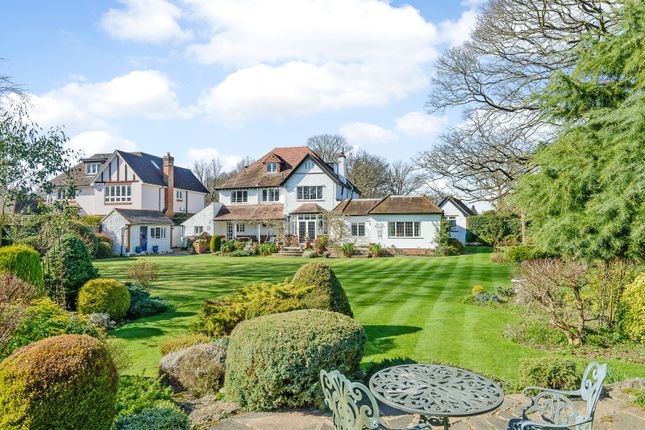 Northwold, 33, Austenway, Bucks photo 2