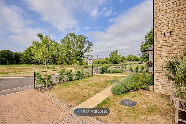 View Facing Out From Driveway