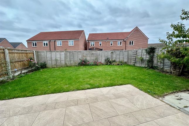 Garden 2.Jpg