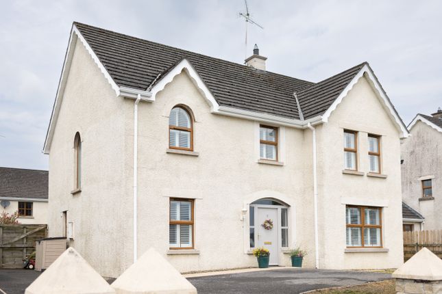 Thumbnail Detached house for sale in The Commons, Enniskillen