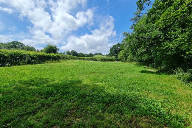 Off-Lying Paddock