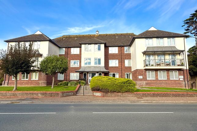 19 Nordsetter Front1