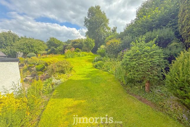 Glandwr, Llandysul photo 3