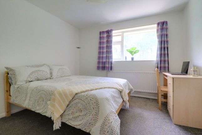 Copy of 54 Egginton Road, Brighton photo 4