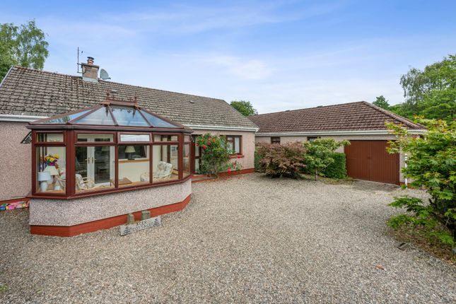 Thumbnail Bungalow for sale in Golf Course Road, Blairgowrie, Perthshire