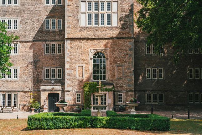 Exterior And Gardens