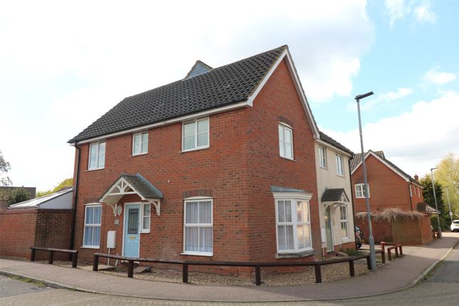Thumbnail Semi-detached house to rent in Herb Robert Glade, Wymondham, Norfolk