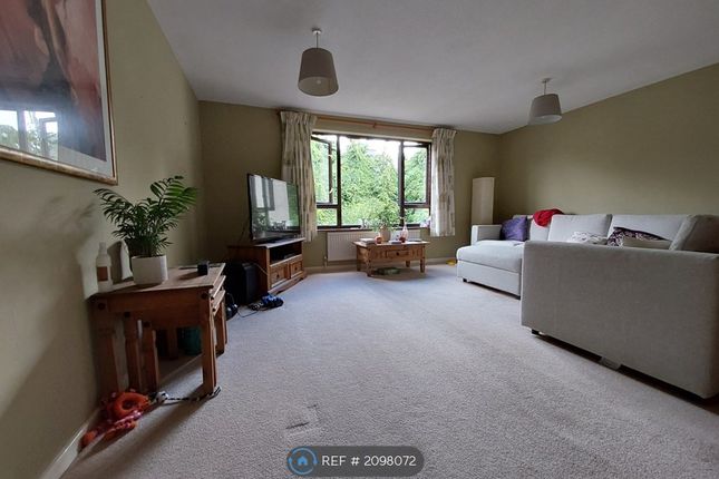 Thumbnail Terraced house to rent in Ranelagh Gardens, Southampton