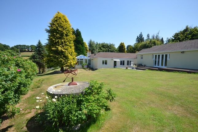 Thumbnail Bungalow for sale in Higher Justments, Thorn, Chagford