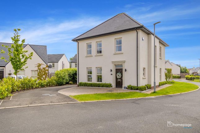 Thumbnail Detached house for sale in 154 Barleyfields, Londonderry