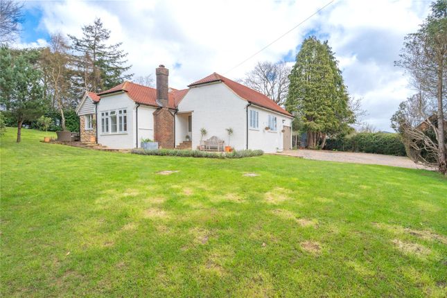 High Meadow,, High Street, Heathfield photo 2