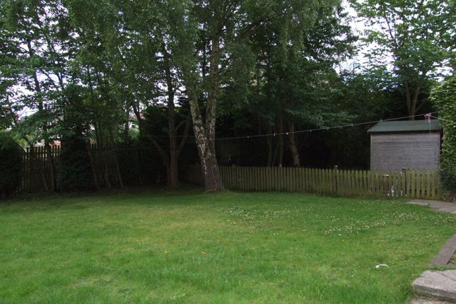 Photograph 6