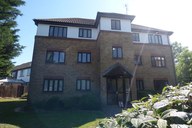 1-bed flat on 7, Kerby Rise, Chelmsford, £4,658/mo
