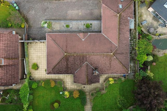 Dji_0020.Jpg