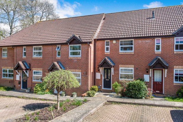 Property to rent in Badger Close, Guildford