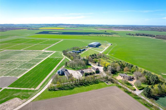 4-bed house on Manor and Field Farms,, Fowlmere, Cambridgeshire, £11,500,000