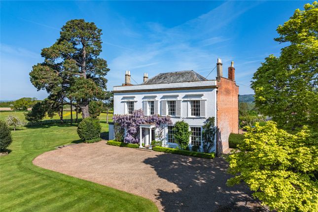 Garden Setting