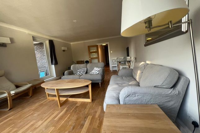 The Drive, Hove photo 3