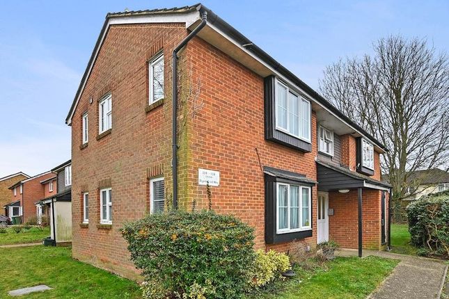 Thumbnail Studio for sale in Brantwood Way, Orpington