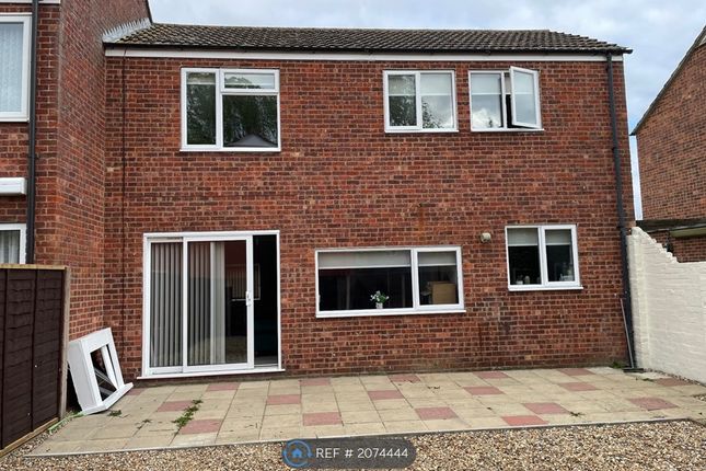 Thumbnail Semi-detached house to rent in Hethersett Close, Newmarket
