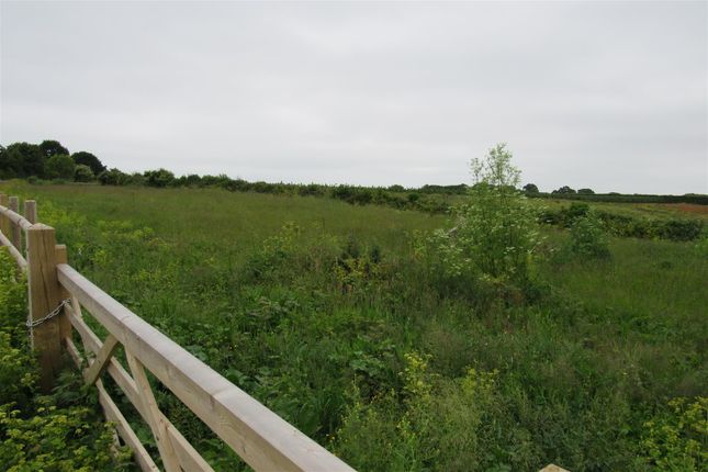 Land for sale in Highstead, Chislet, Canterbury