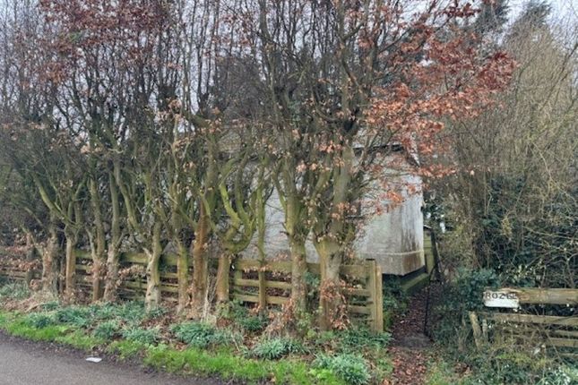 Detached bungalow for sale in Rozel, Marsh Road, Gedney Drove End, Spalding, Lincolnshire