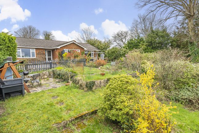 Thumbnail Bungalow for sale in Old London Road, Coldwaltham, West Sussex