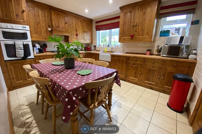 Semi-detached house to rent in Belle Vue, Cockermouth
