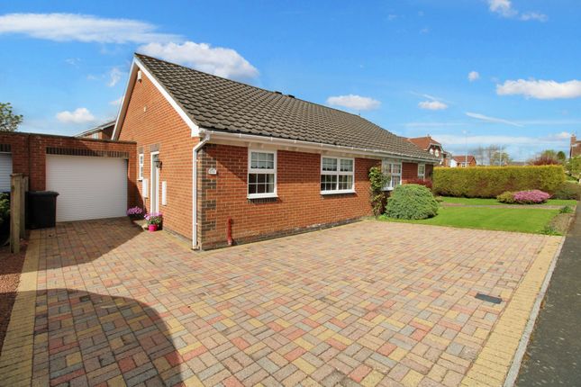 Thumbnail Bungalow to rent in Paddock Hill, Ponteland, Newcastle Upon Tyne